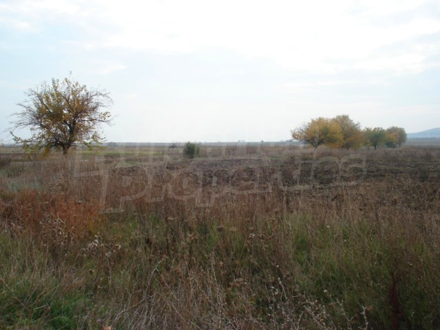 Gallery Picture 5