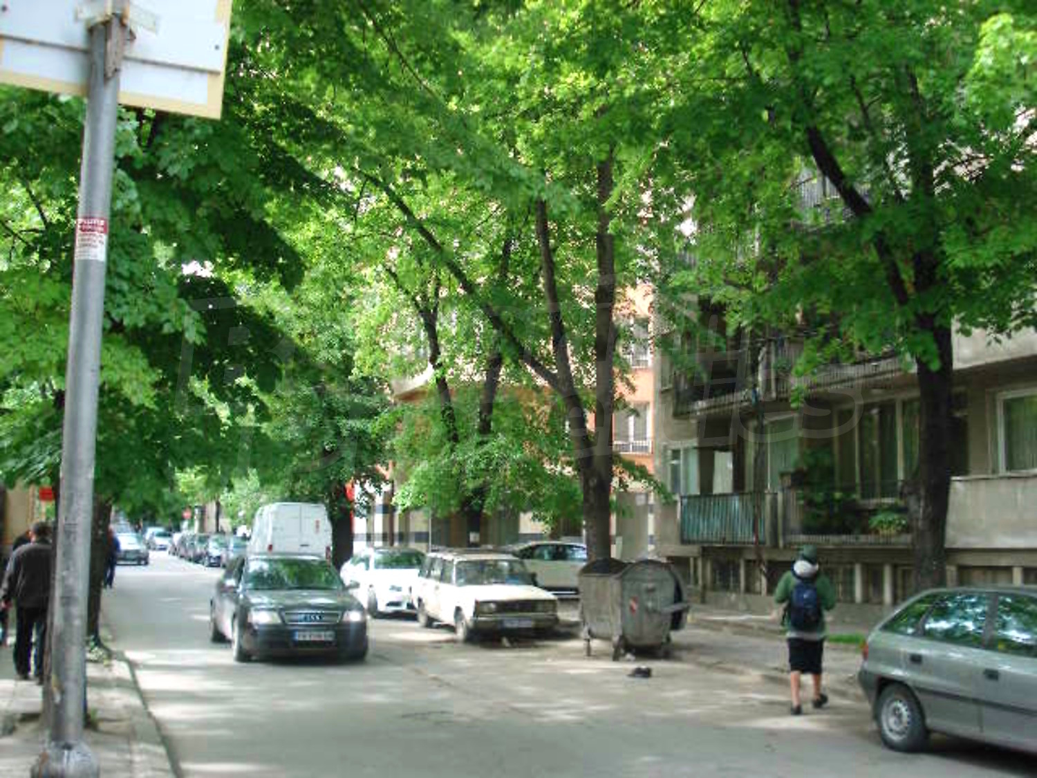 Gallery Picture 11