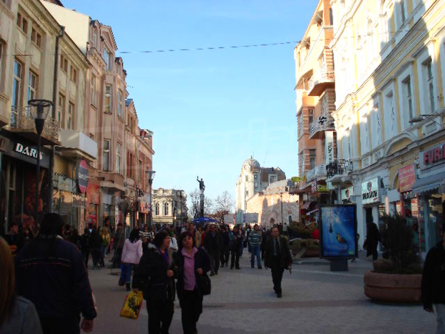 Gallery Picture 12
