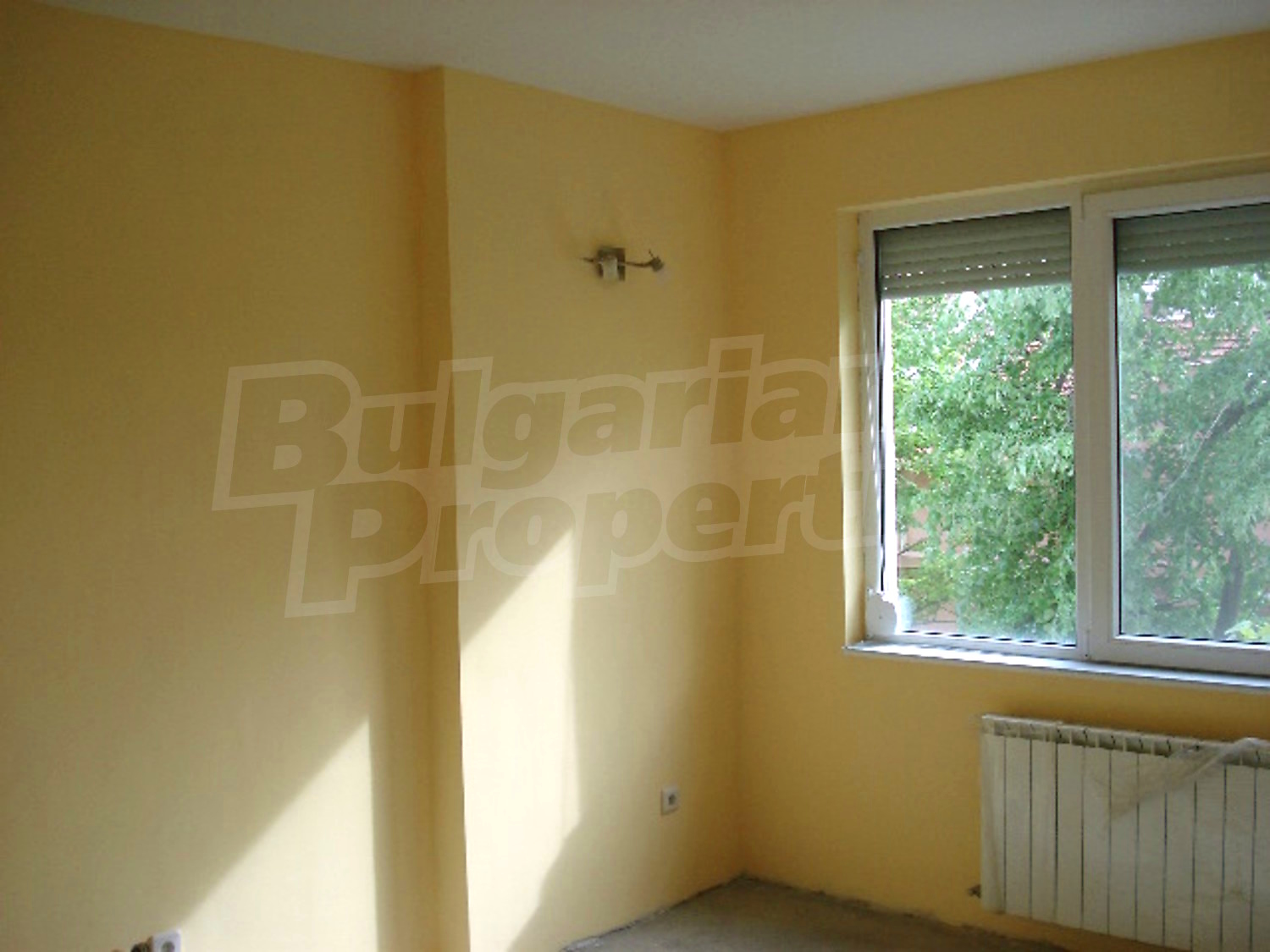 Gallery Picture 8