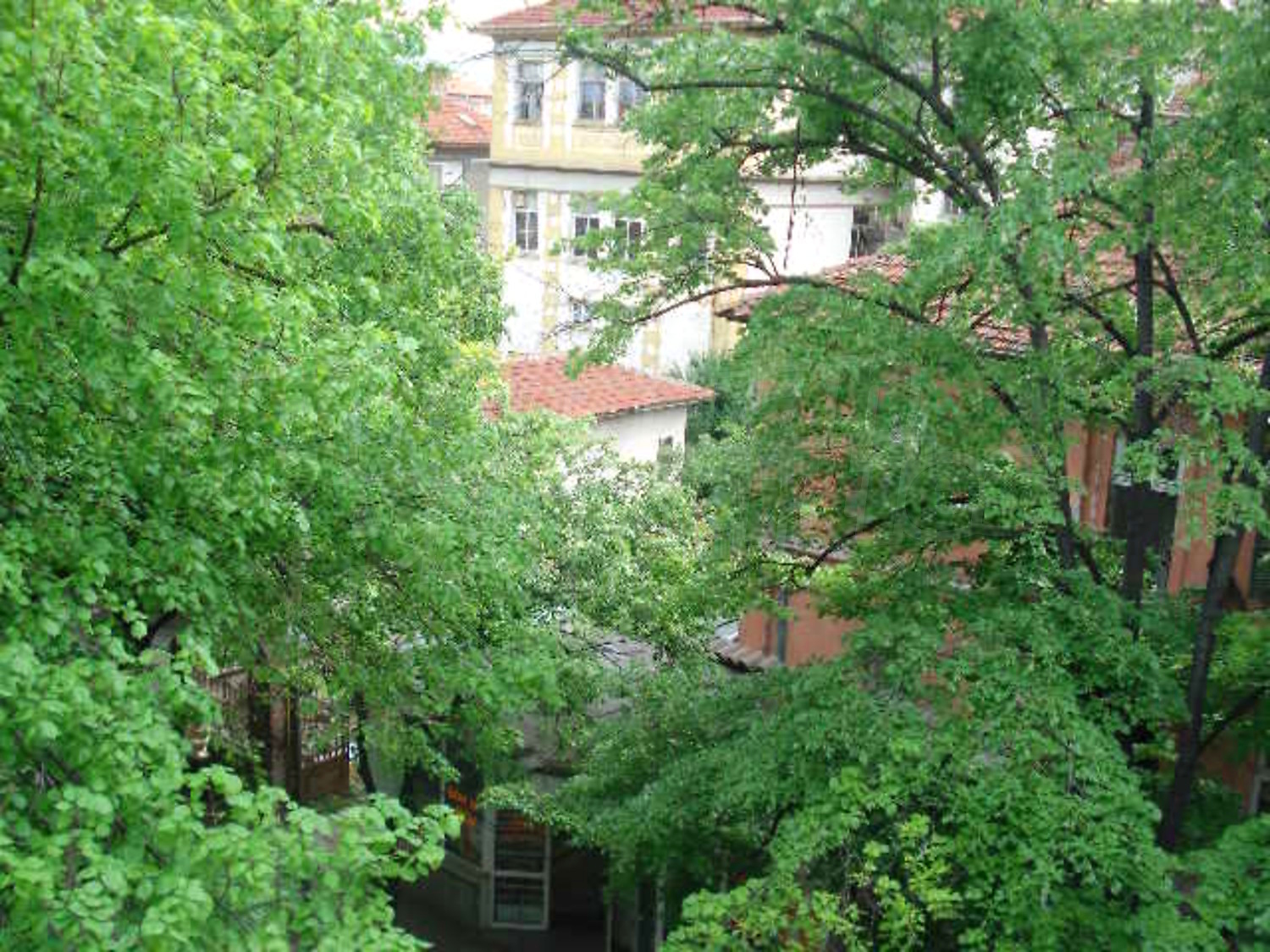 Gallery Picture 9