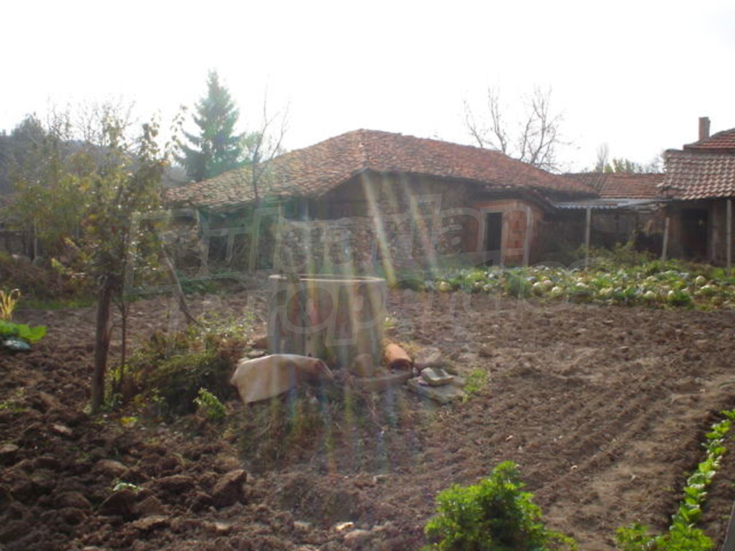 Gallery Picture 10