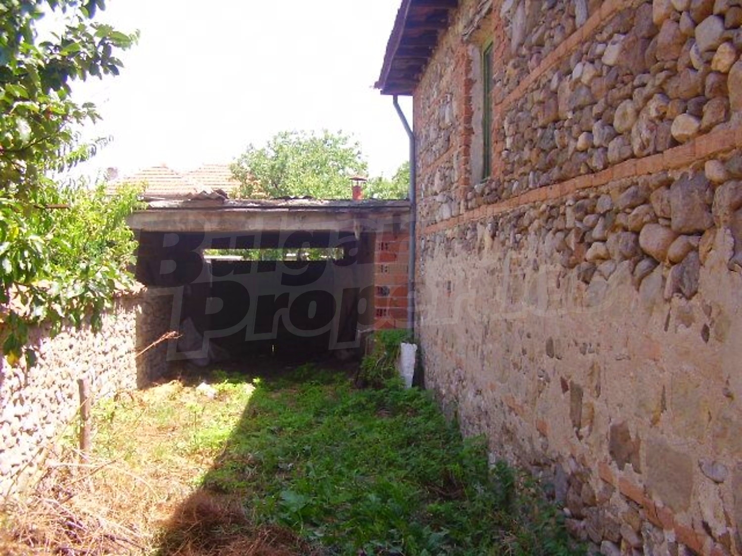 Gallery Picture 11