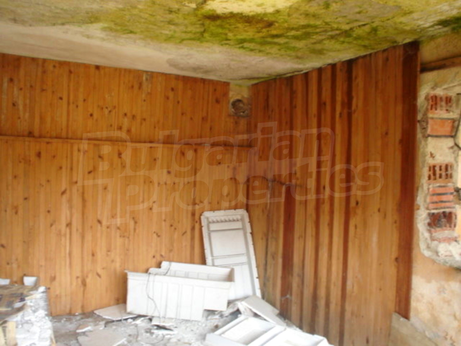 Gallery Picture 8