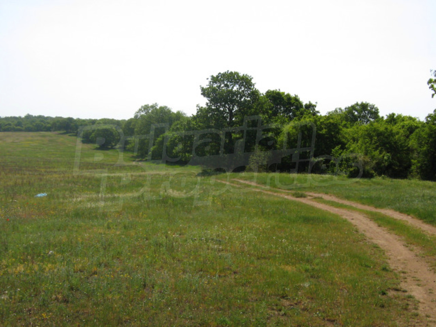 Gallery Picture 6