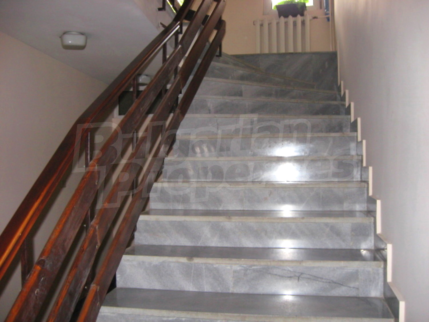 Gallery Picture 15