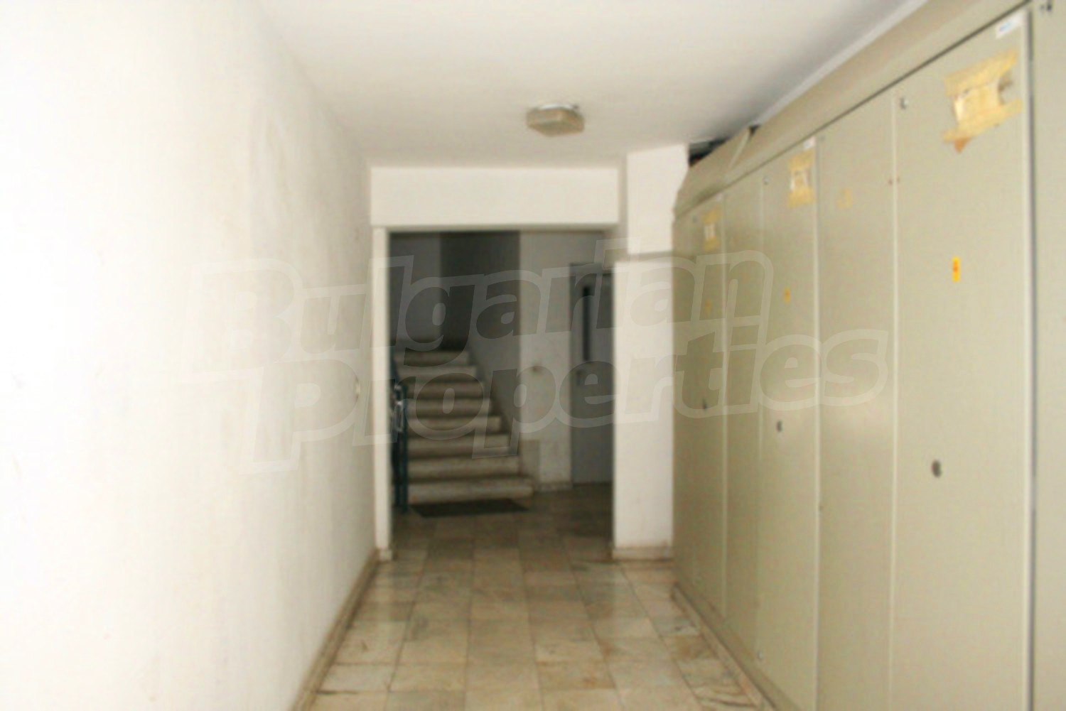 Gallery Picture 12