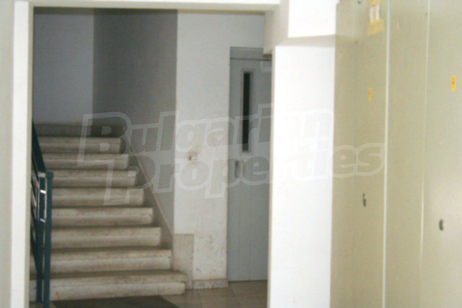 Gallery Picture 13