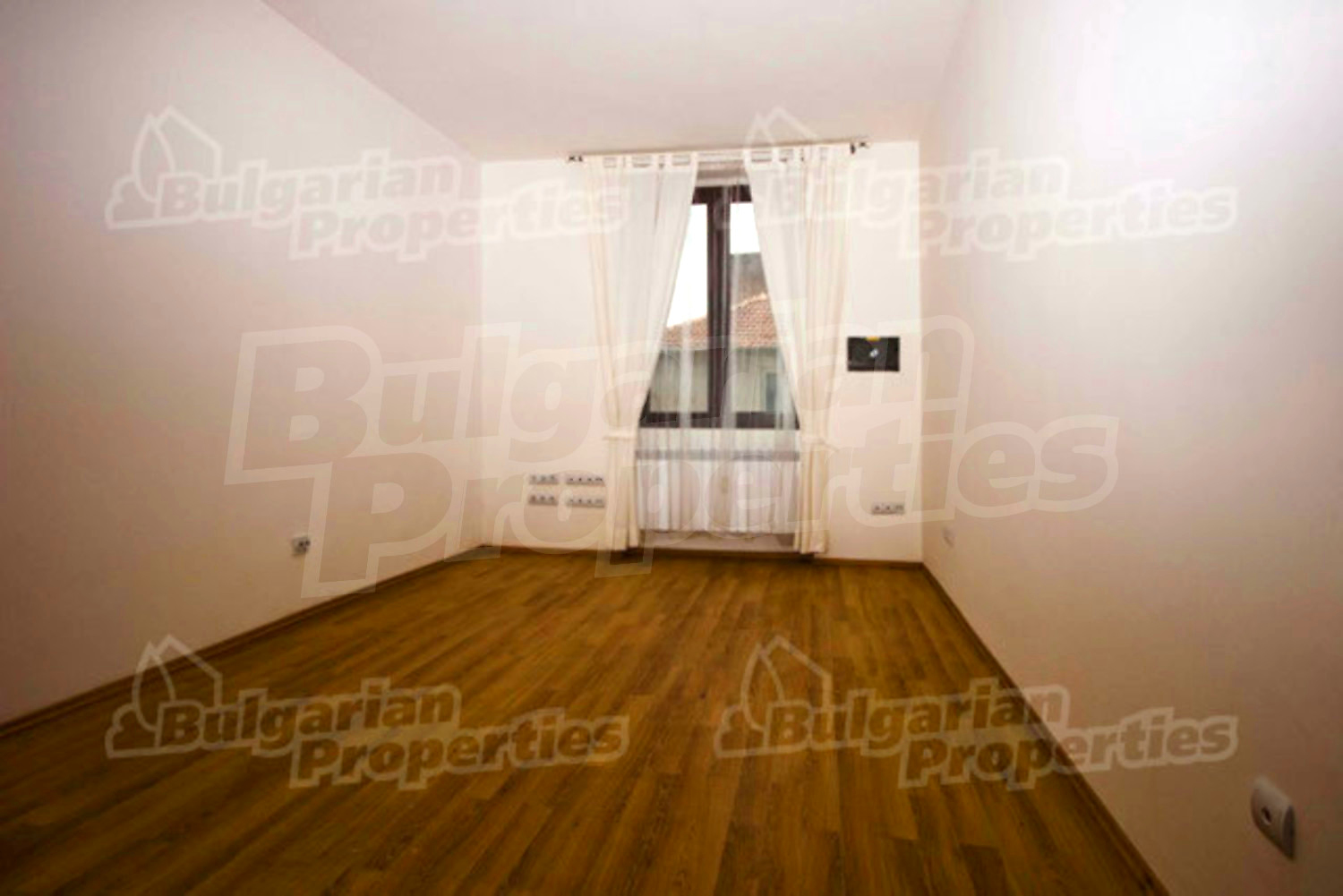 Gallery Picture 10