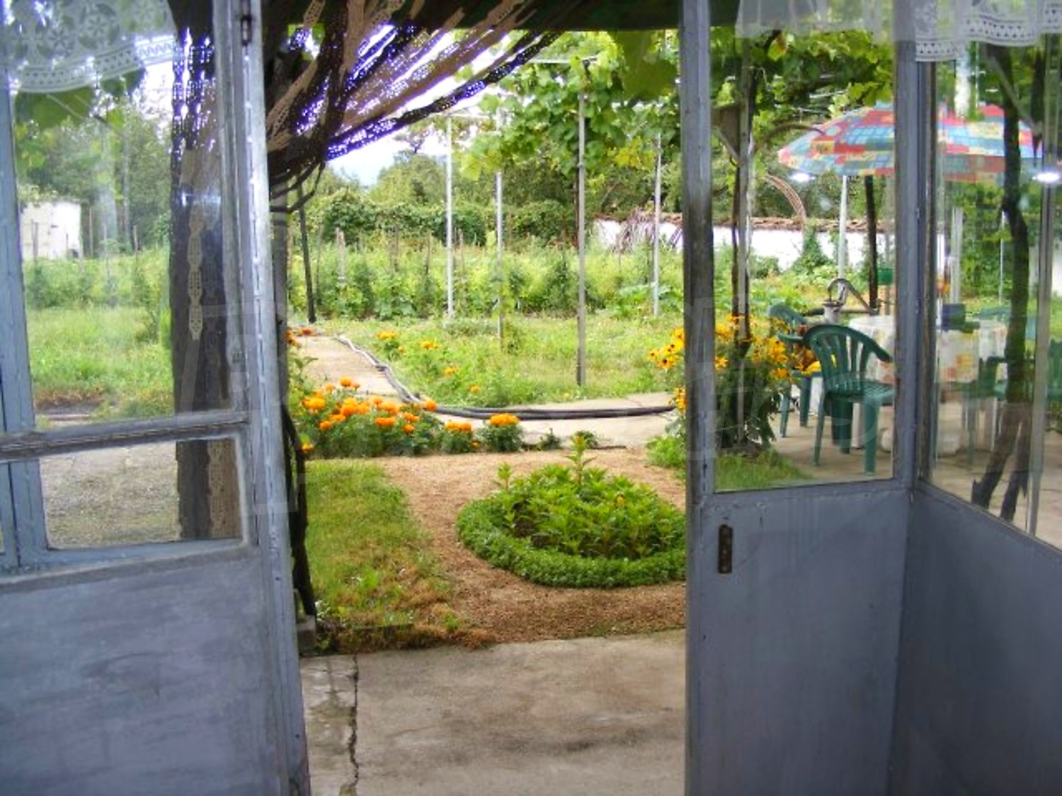 Gallery Picture 21