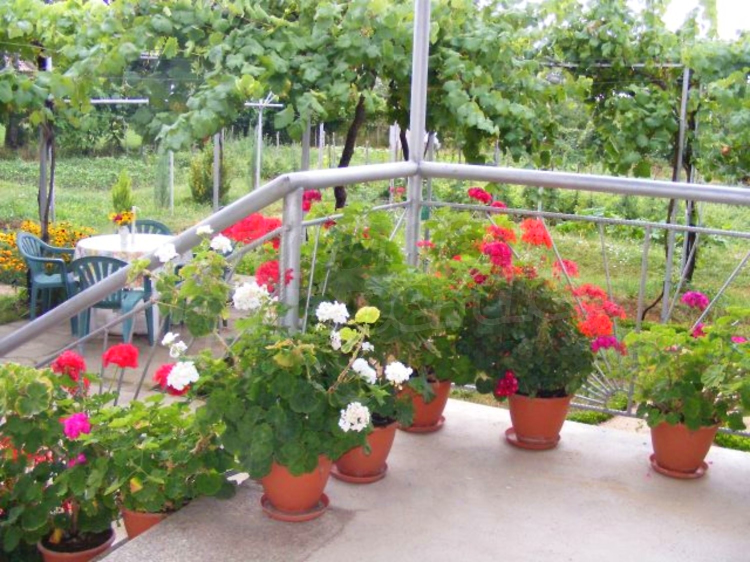 Gallery Picture 5