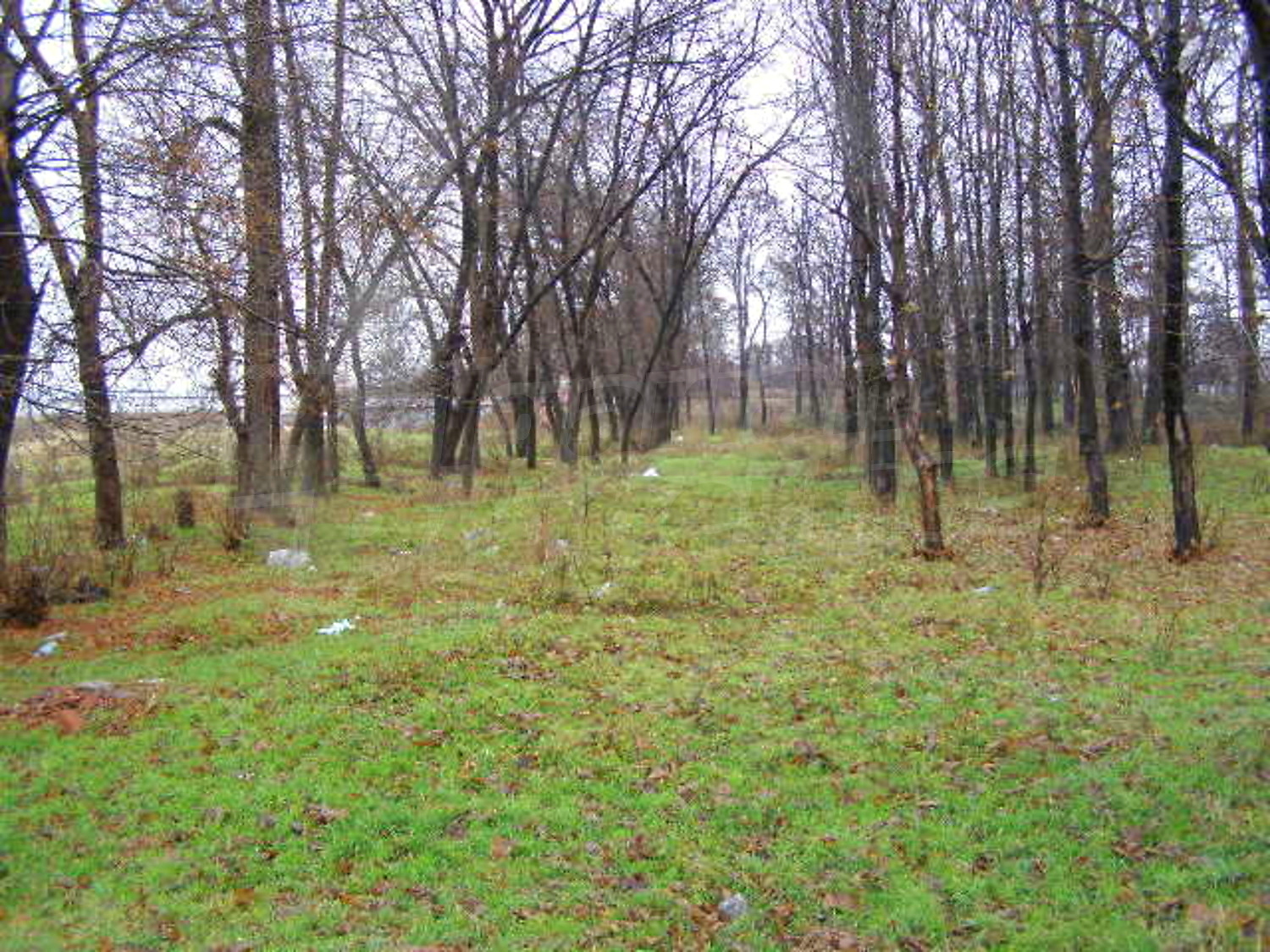 Gallery Picture 2