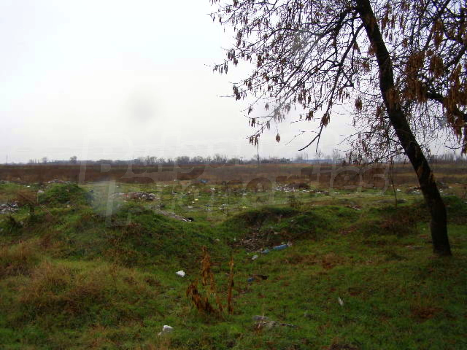 Gallery Picture 3