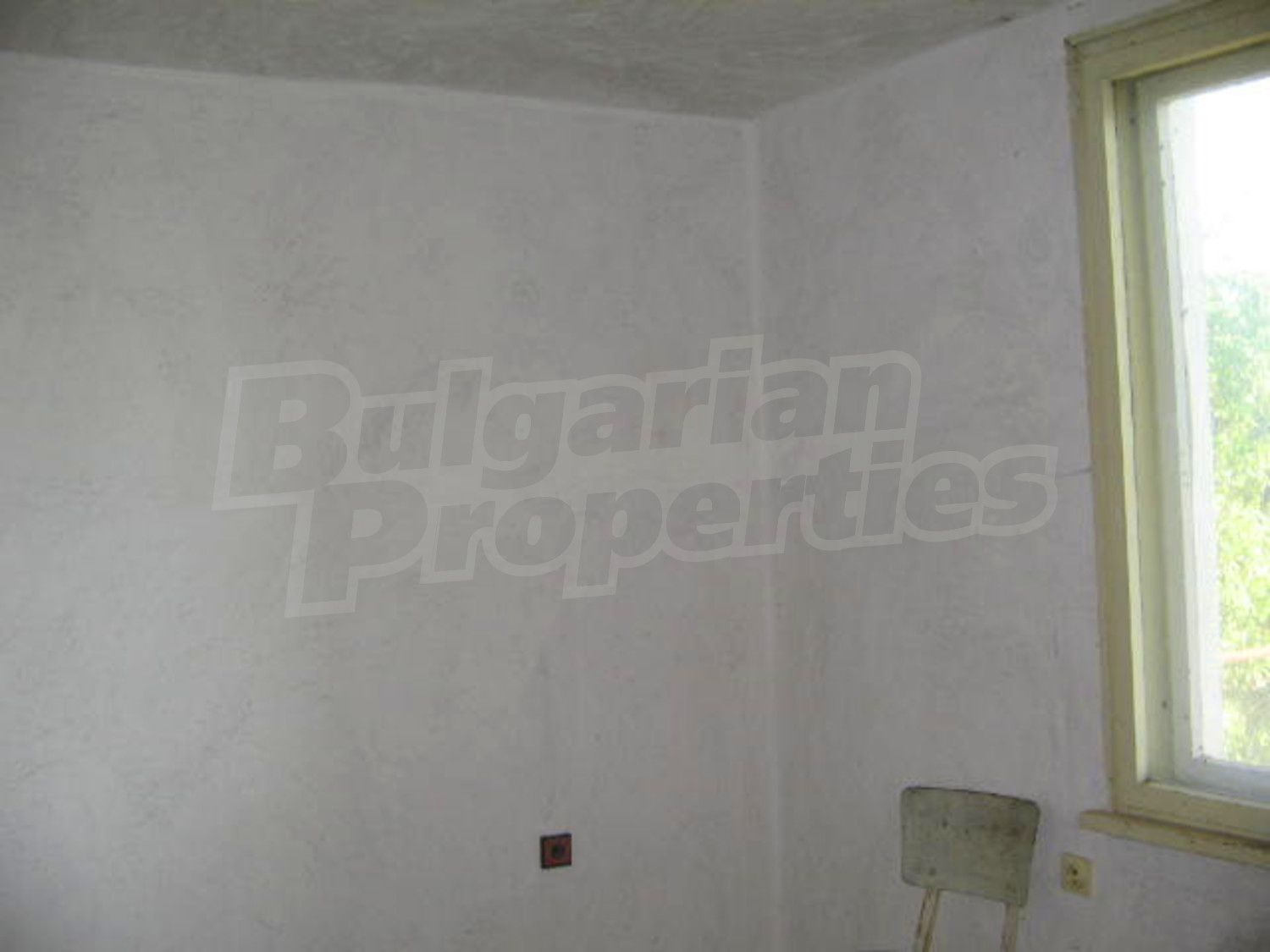 Gallery Picture 12