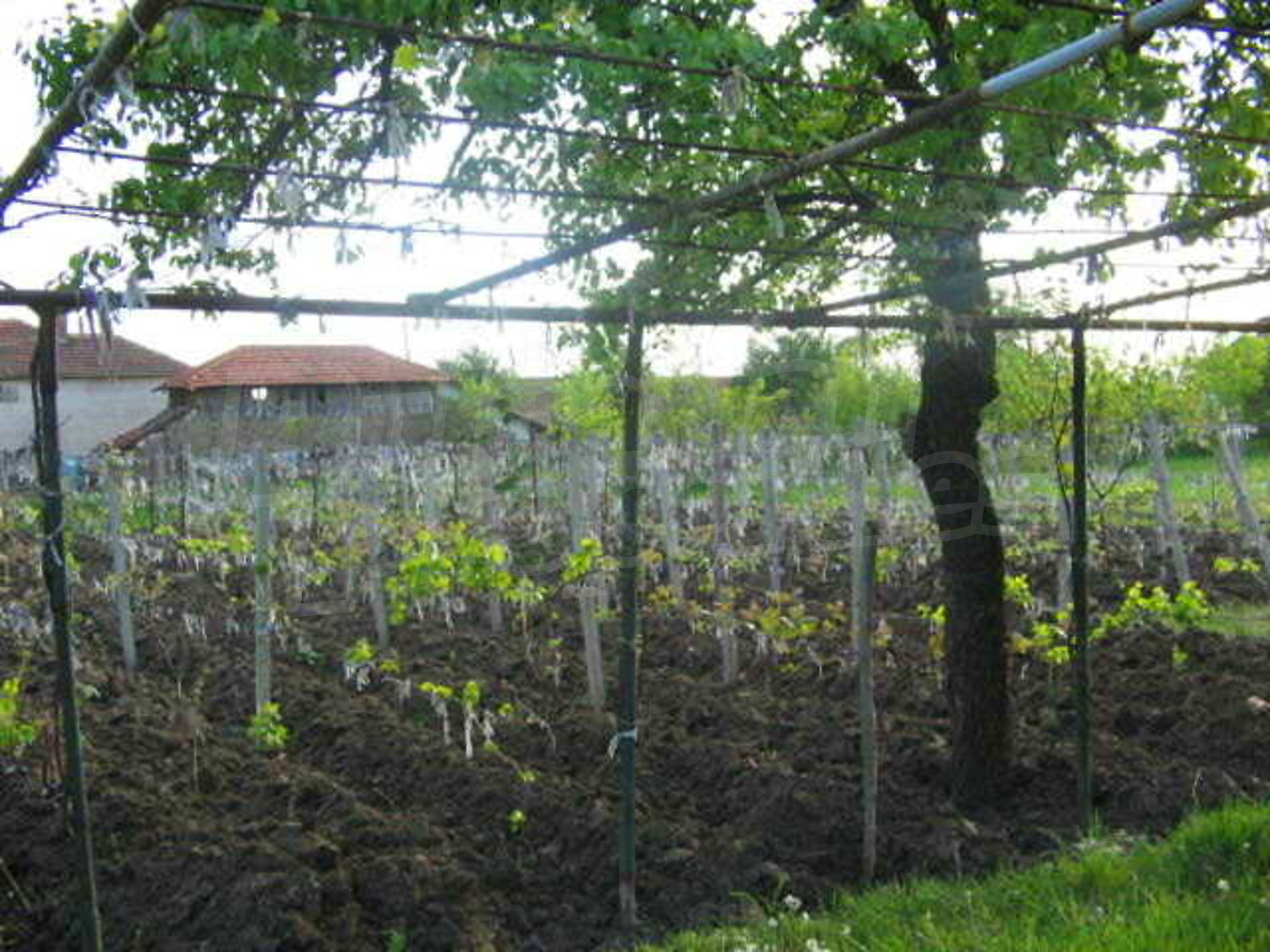 Gallery Picture 15