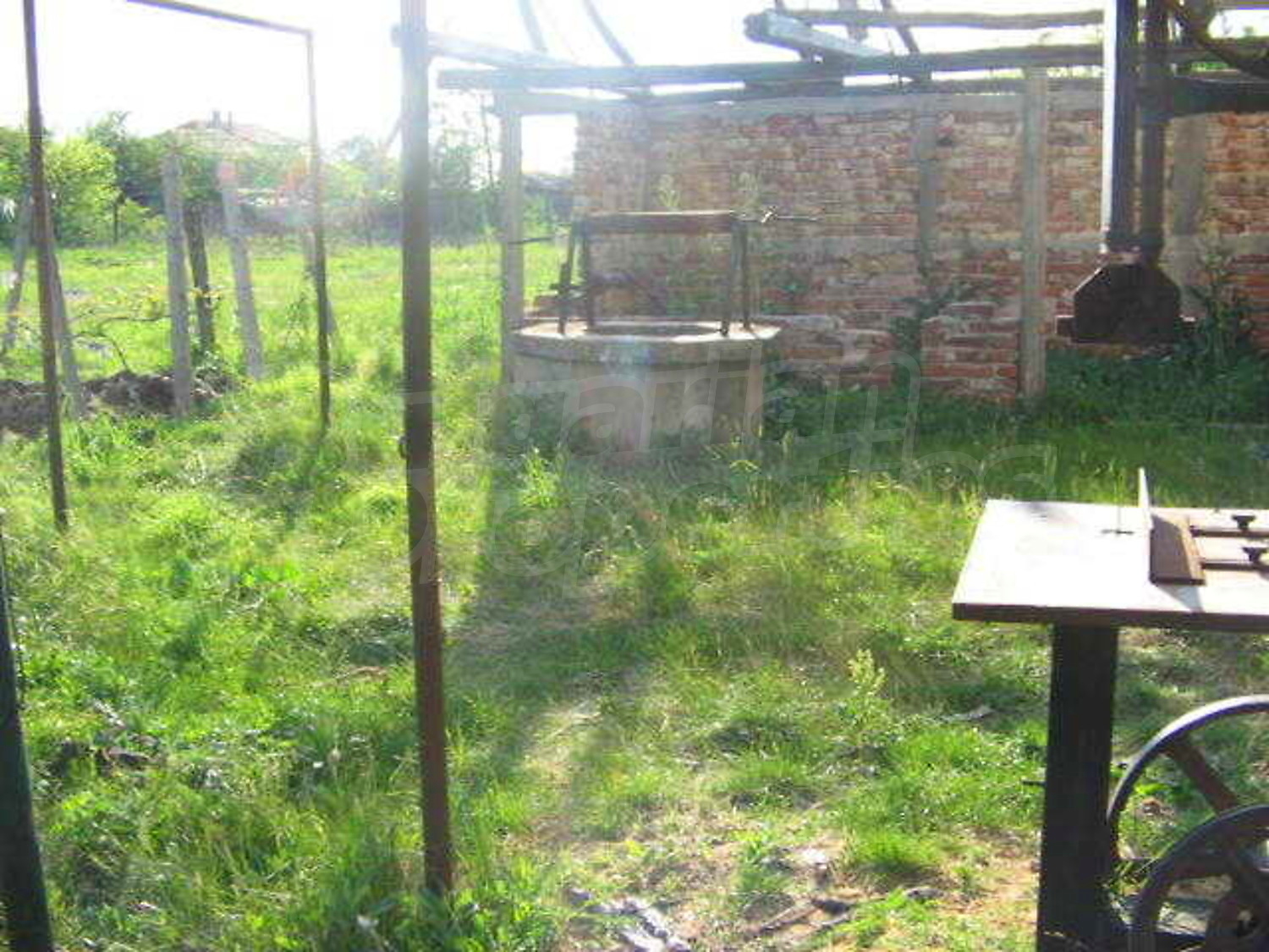 Gallery Picture 16