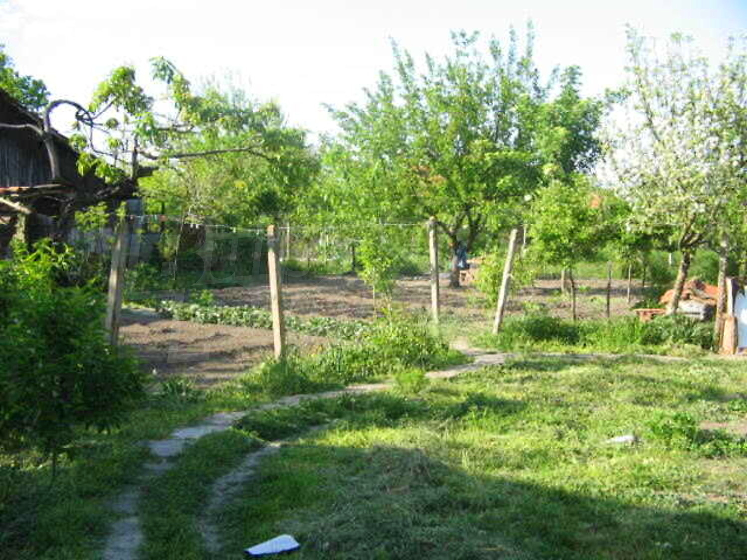 Gallery Picture 17