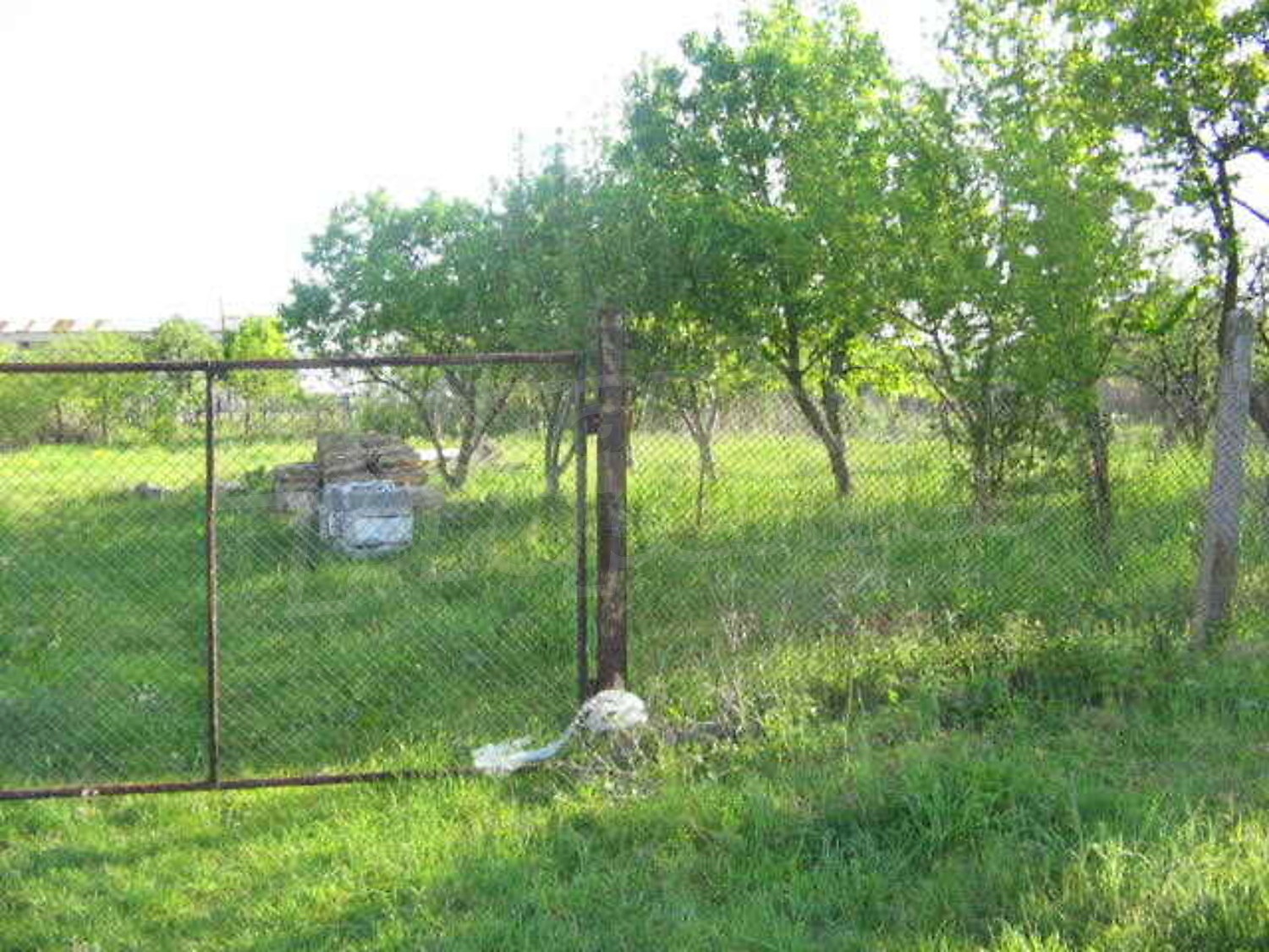 Gallery Picture 18