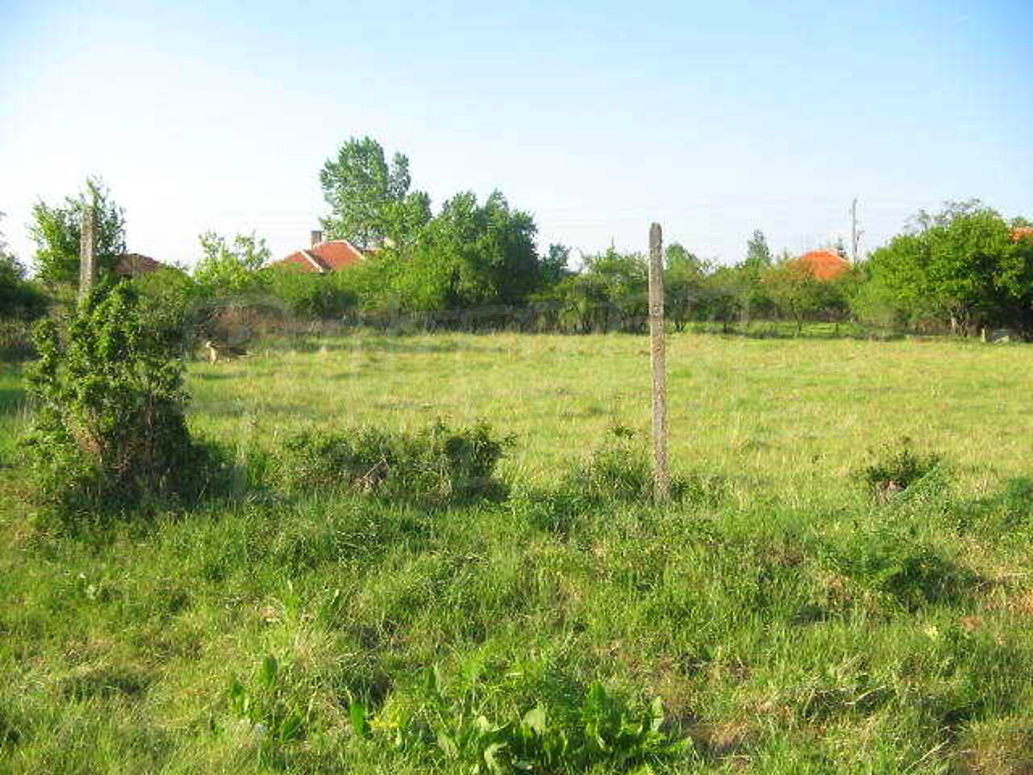 Gallery Picture 19