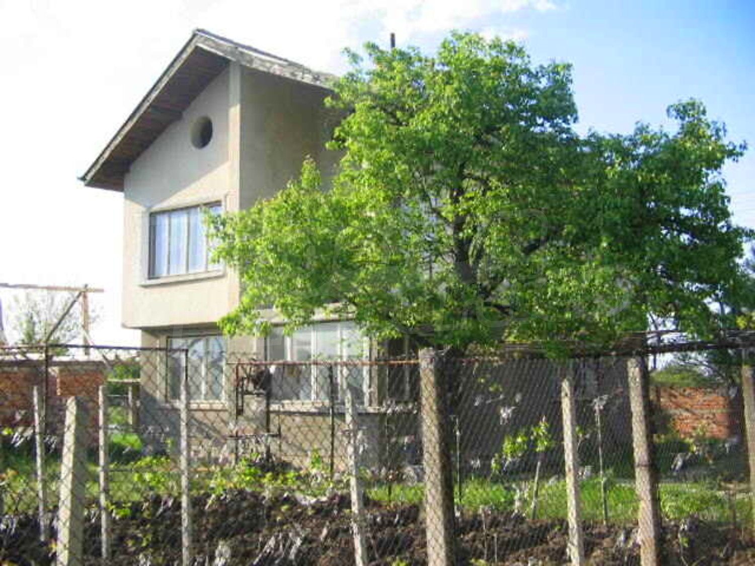 Gallery Picture 20