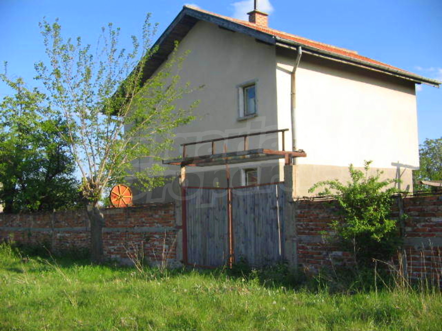 Gallery Picture 21