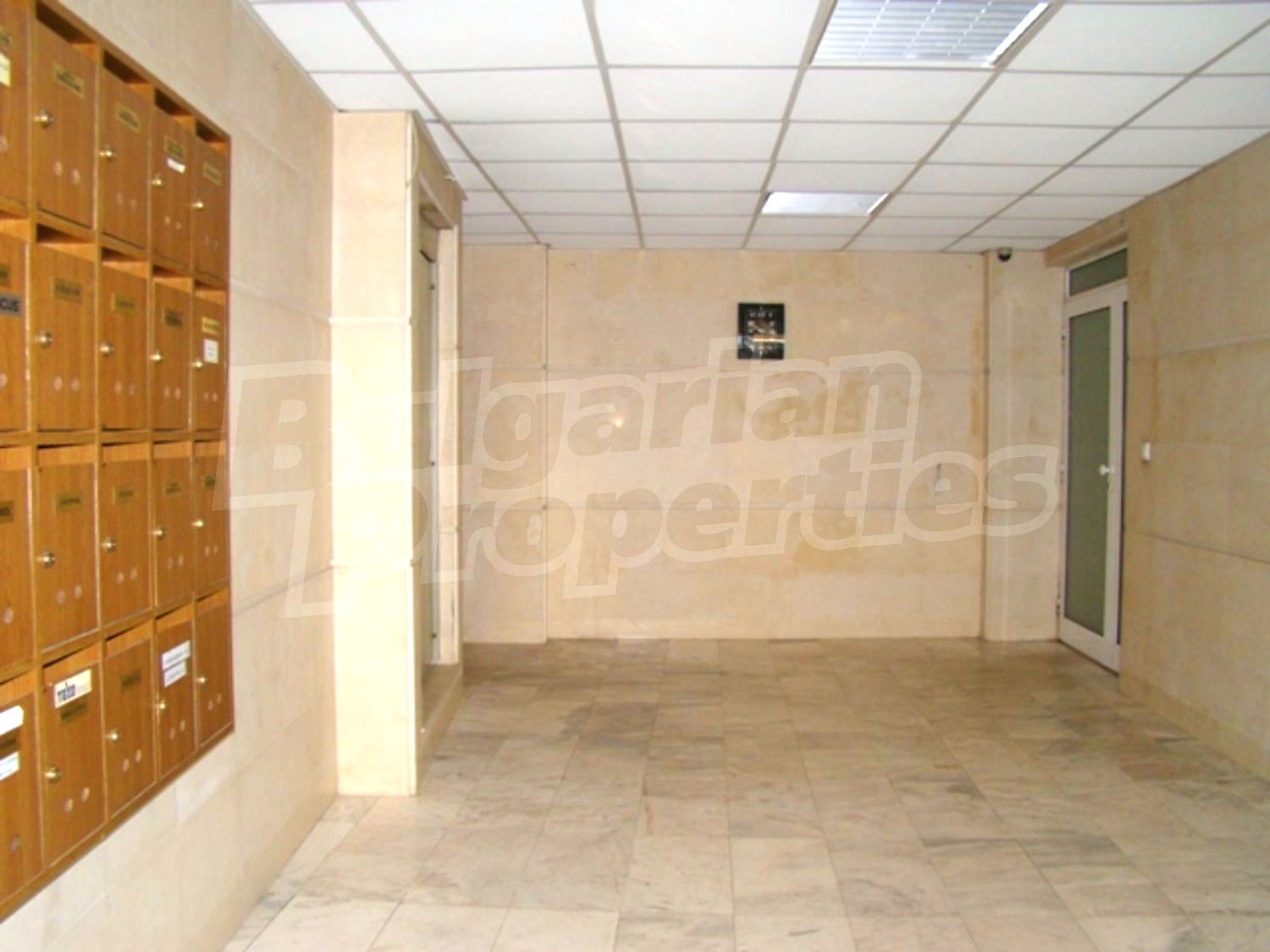 Gallery Picture 13