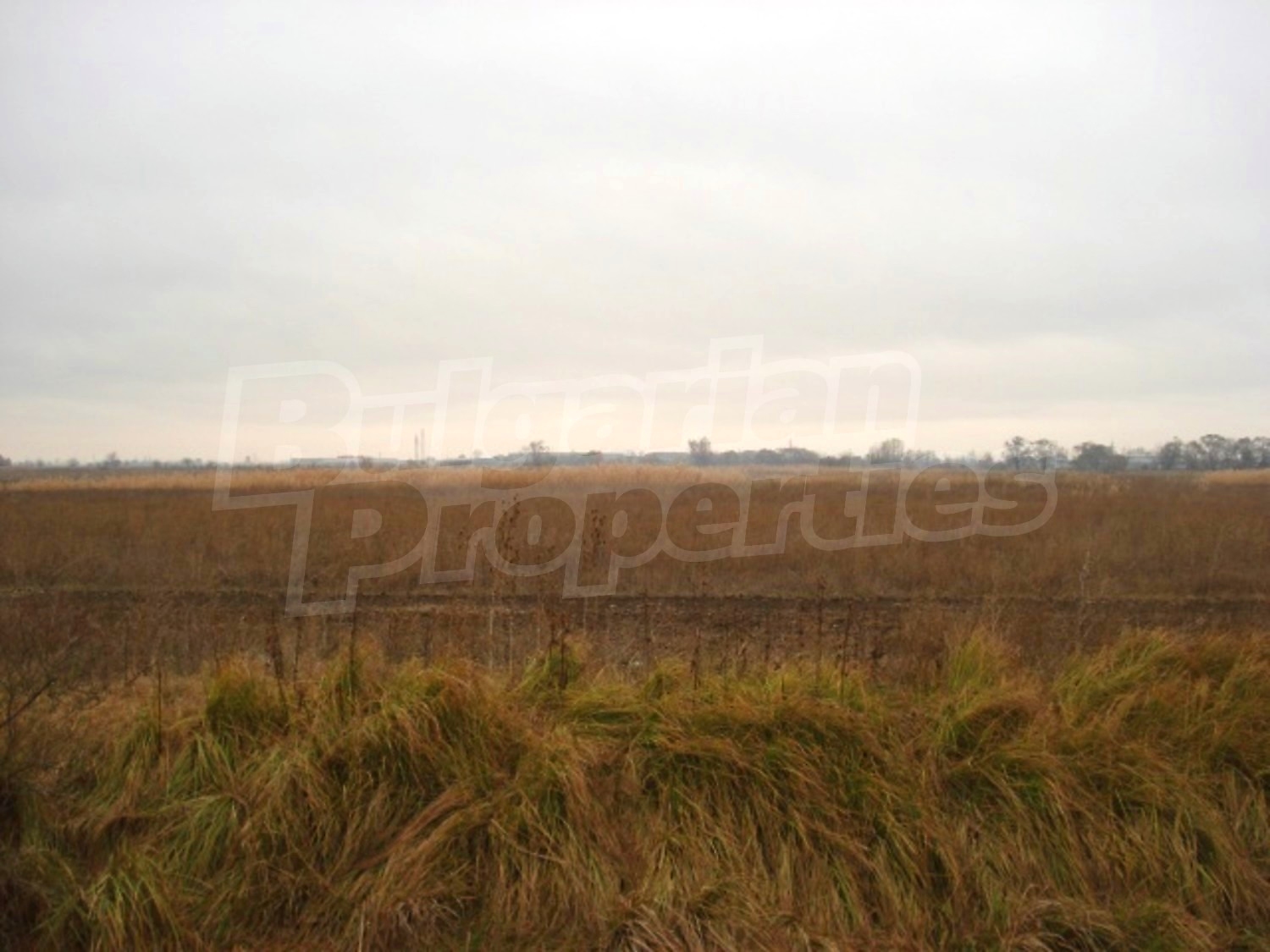 Gallery Picture 2