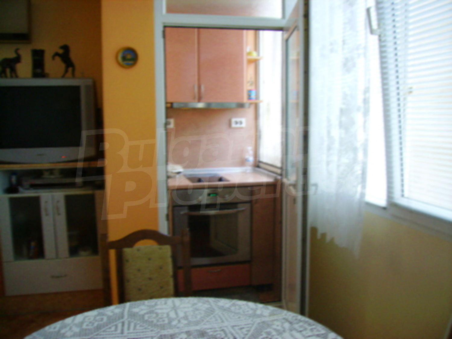 Gallery Picture 15