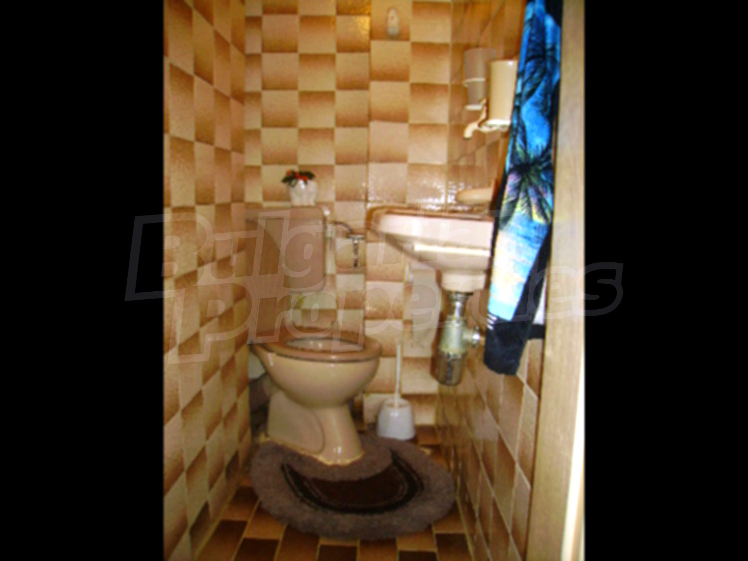 Gallery Picture 6