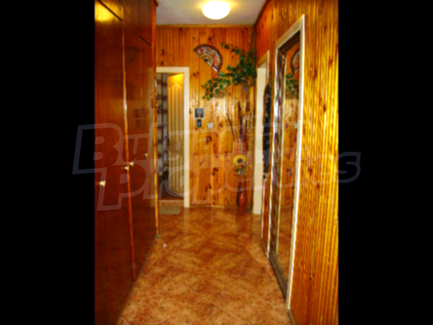 Gallery Picture 7