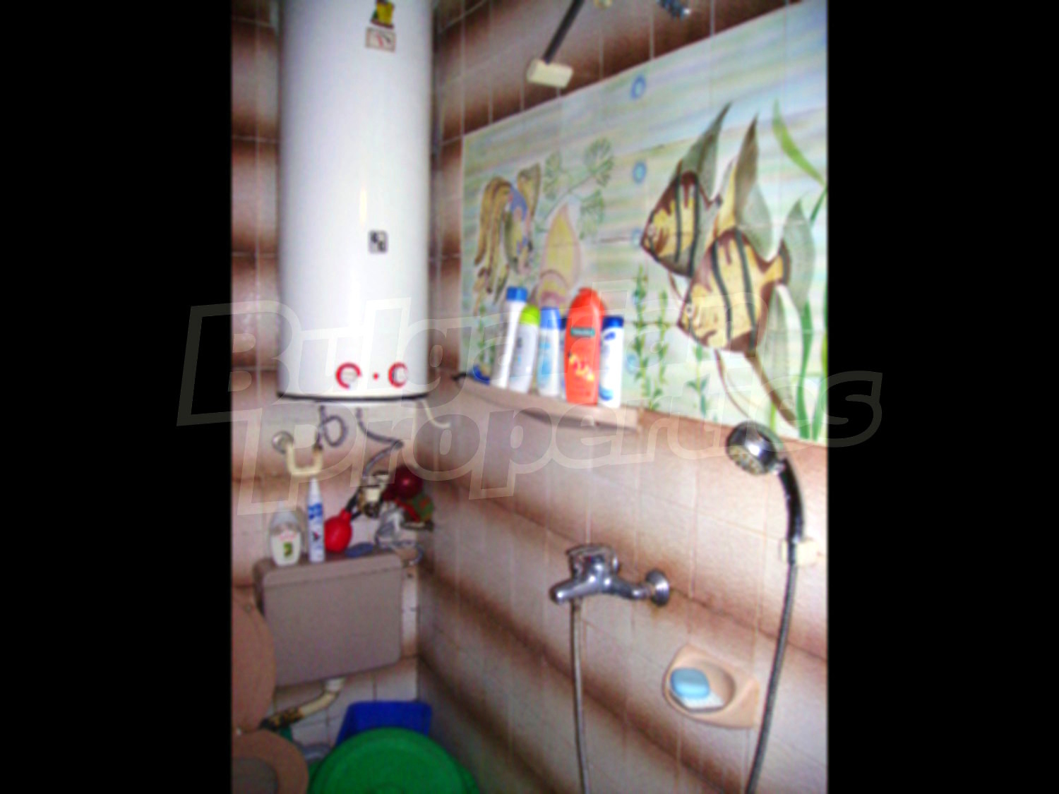 Gallery Picture 9