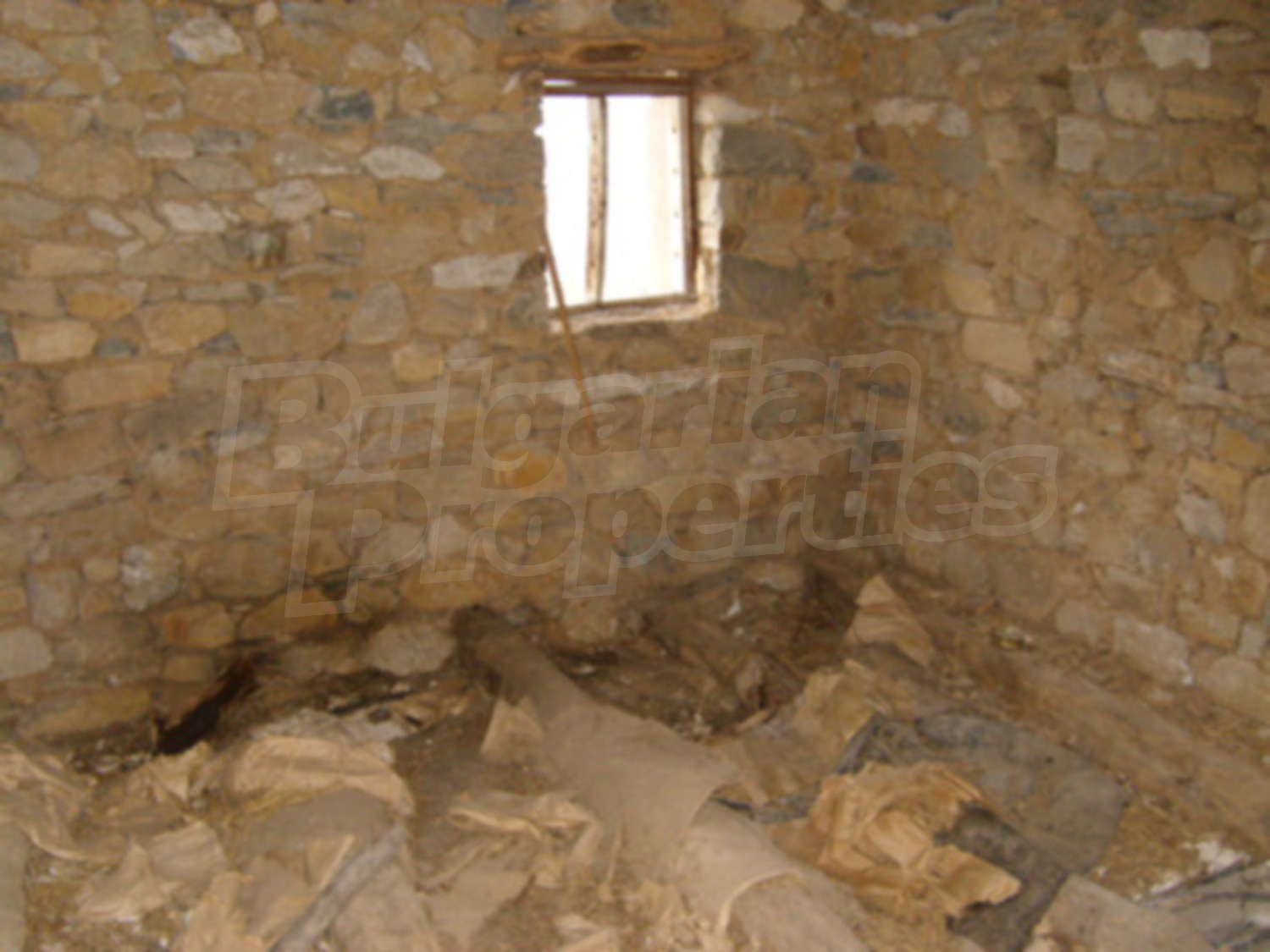 Gallery Picture 10