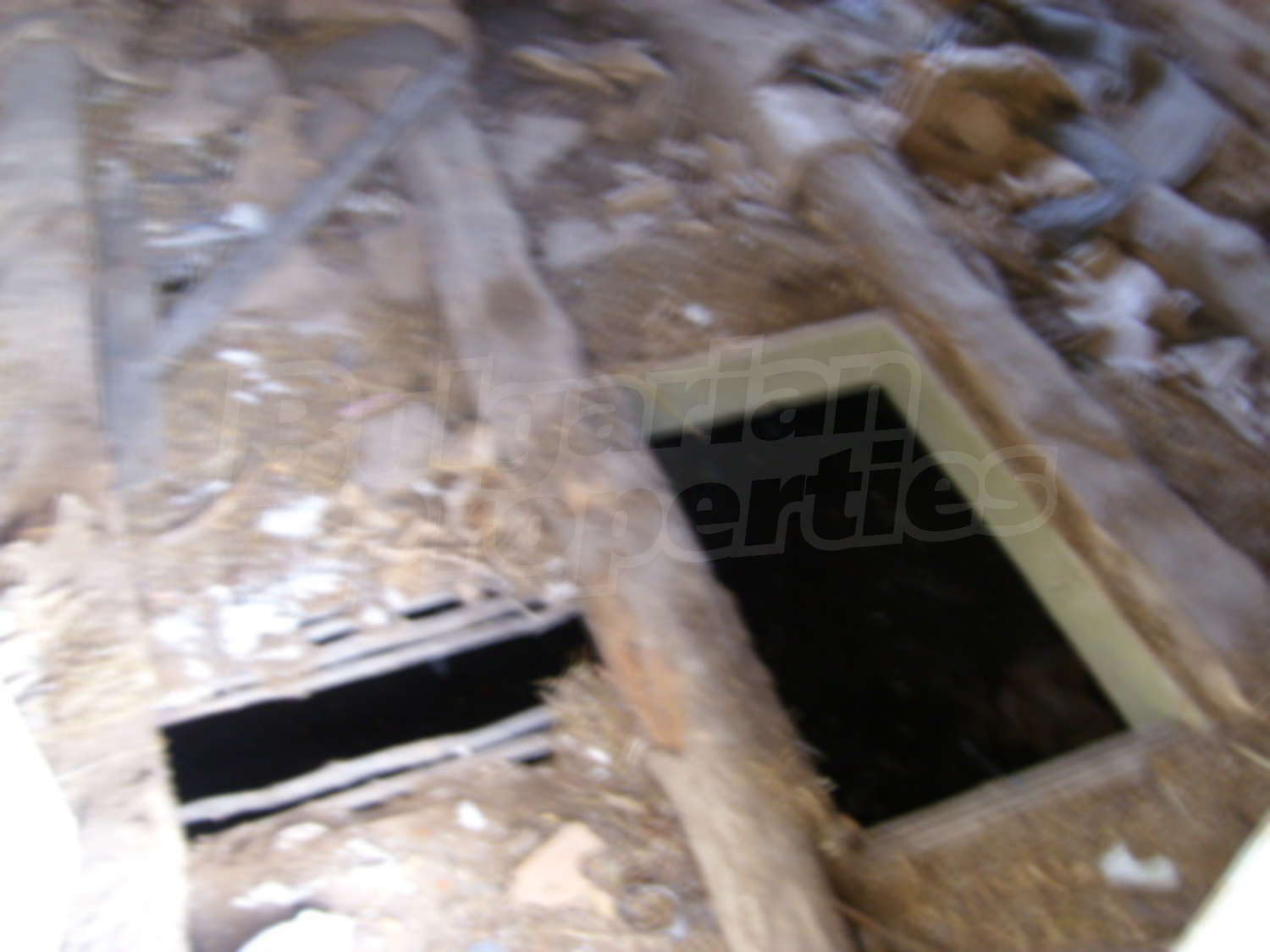 Gallery Picture 11