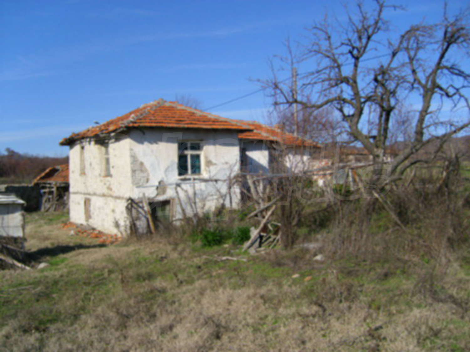 Gallery Picture 11