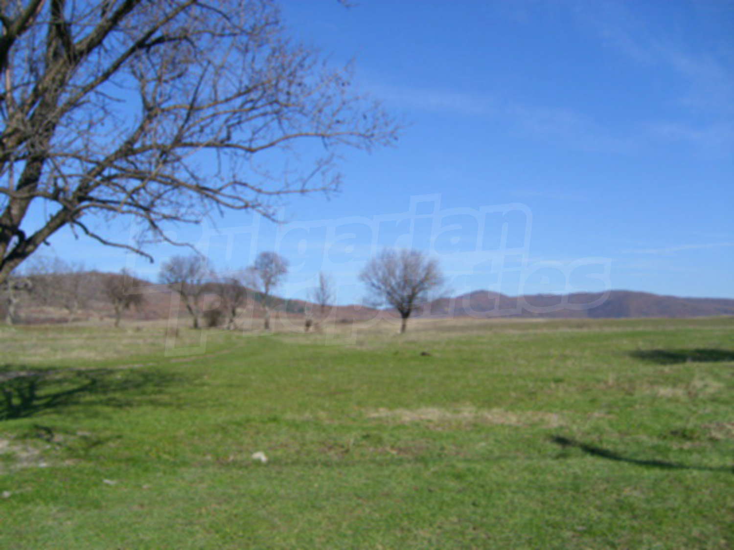 Gallery Picture 10