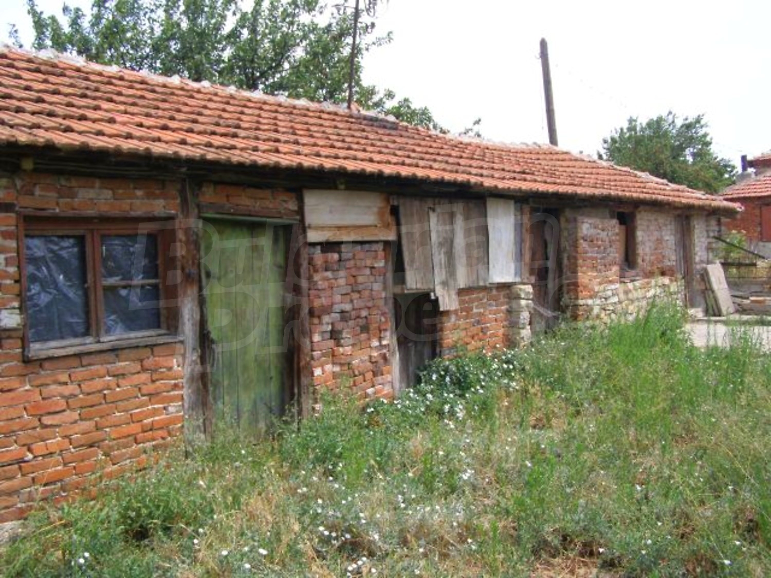 Gallery Picture 17