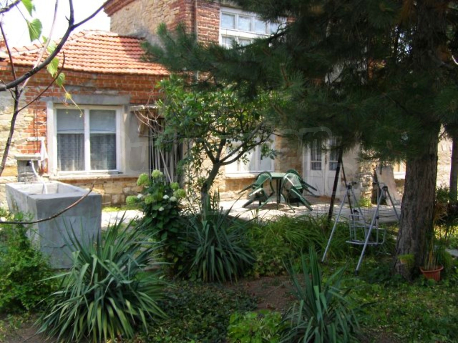 Gallery Picture 18