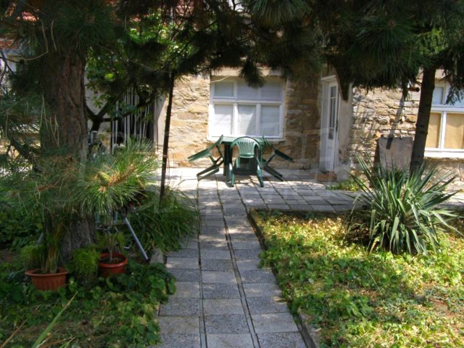 Gallery Picture 19