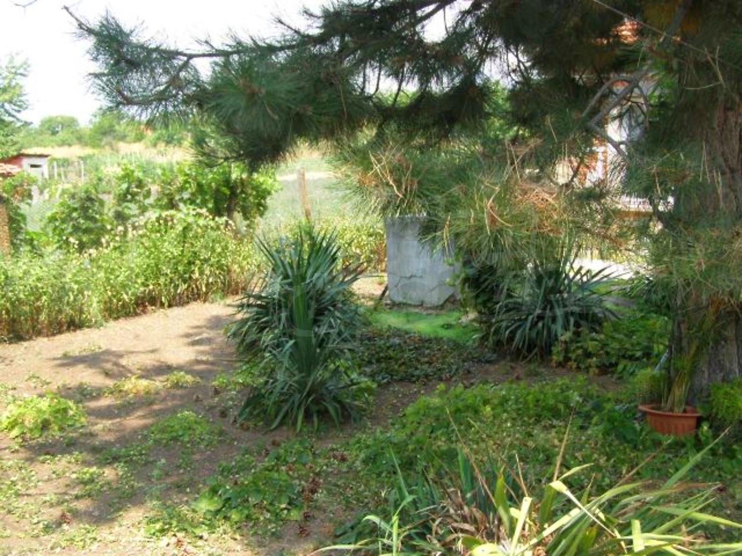 Gallery Picture 20