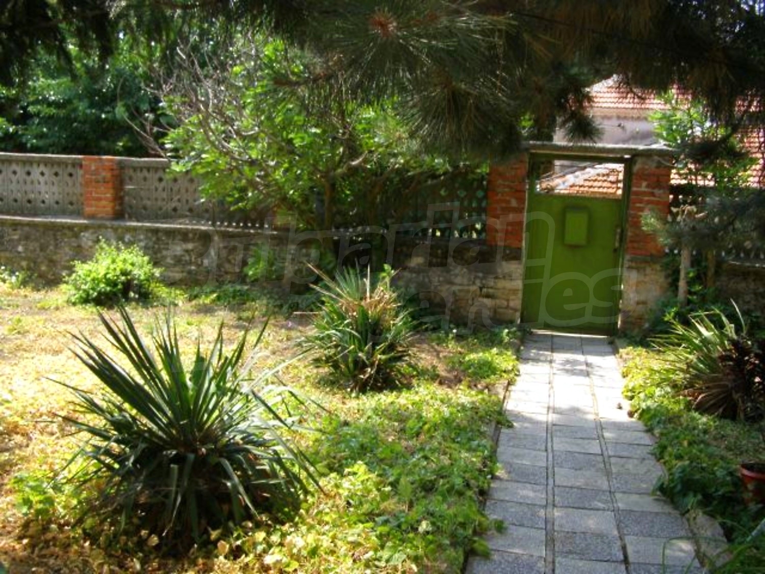 Gallery Picture 21