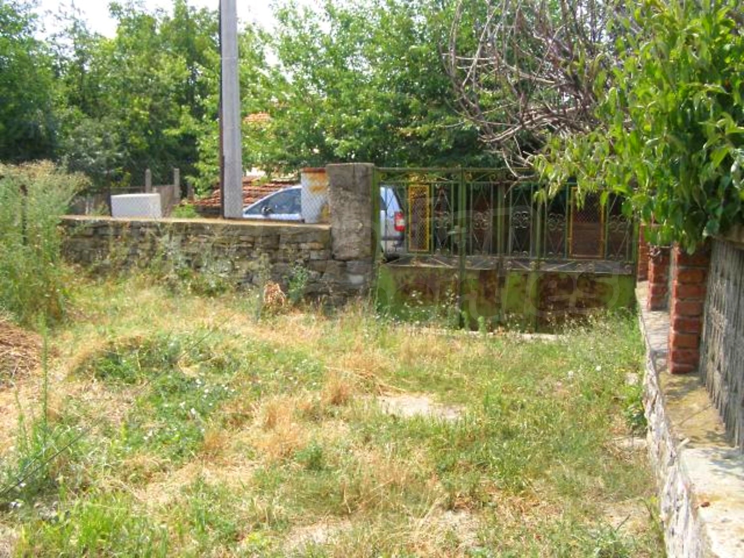Gallery Picture 31