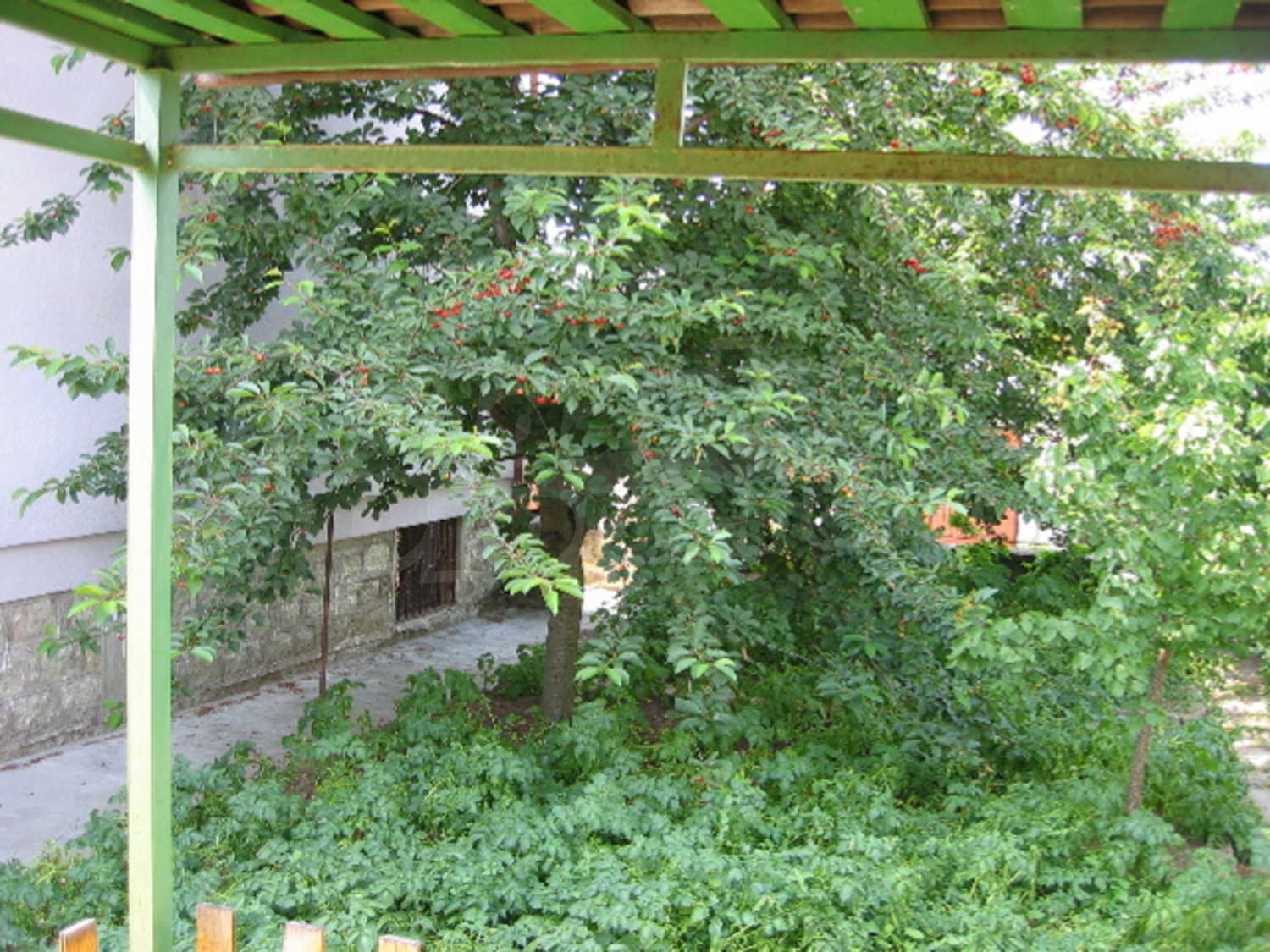 Gallery Picture 6