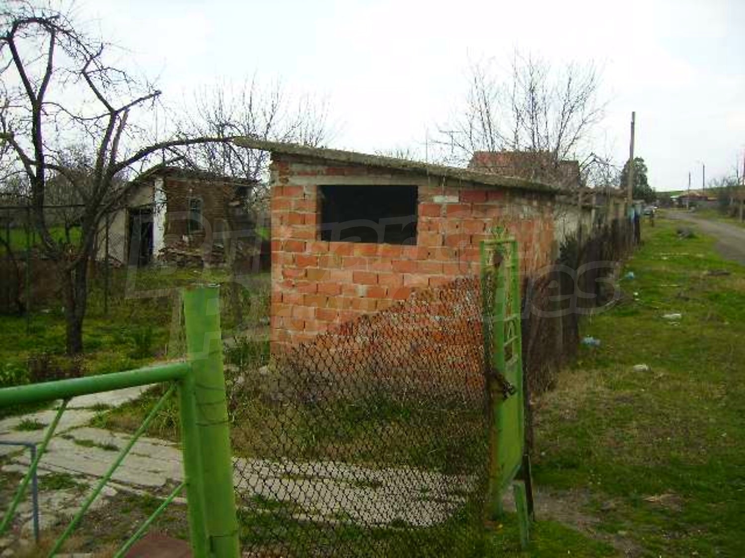 Gallery Picture 10