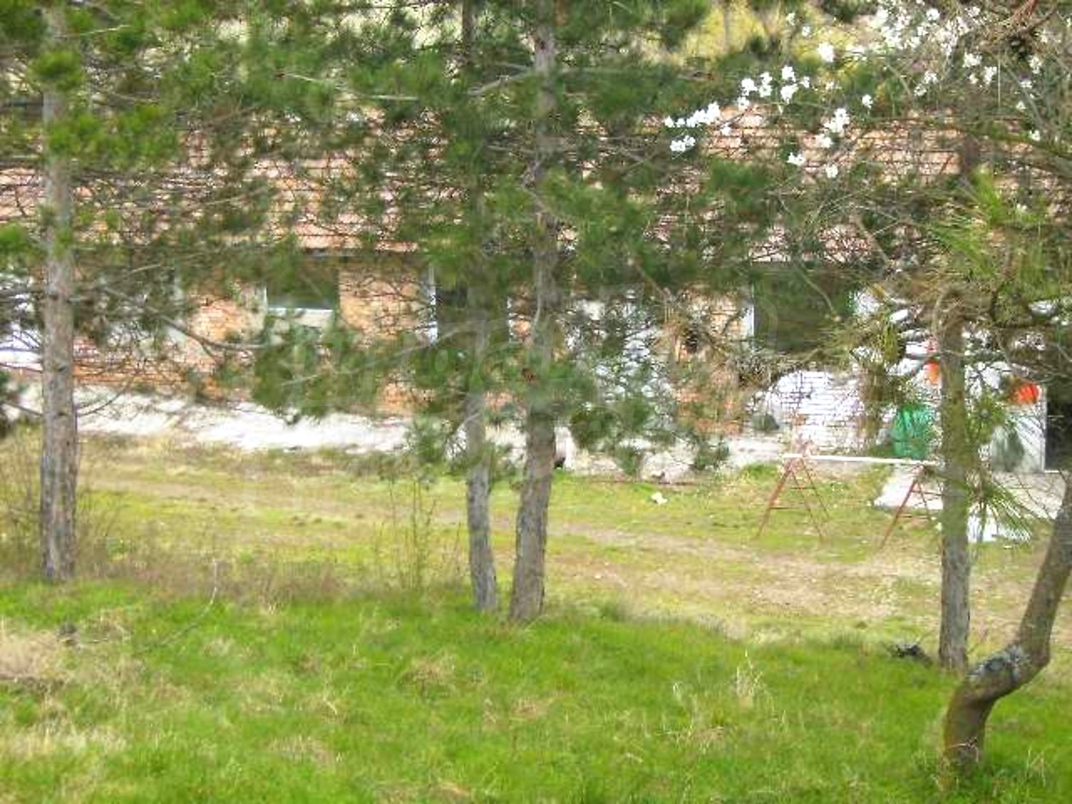 Gallery Picture 11