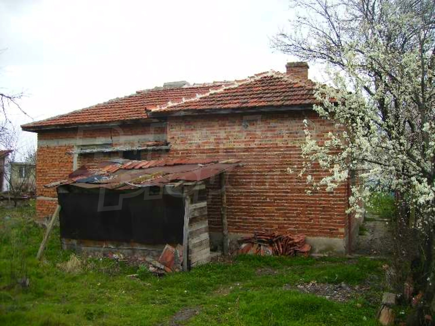 Gallery Picture 4