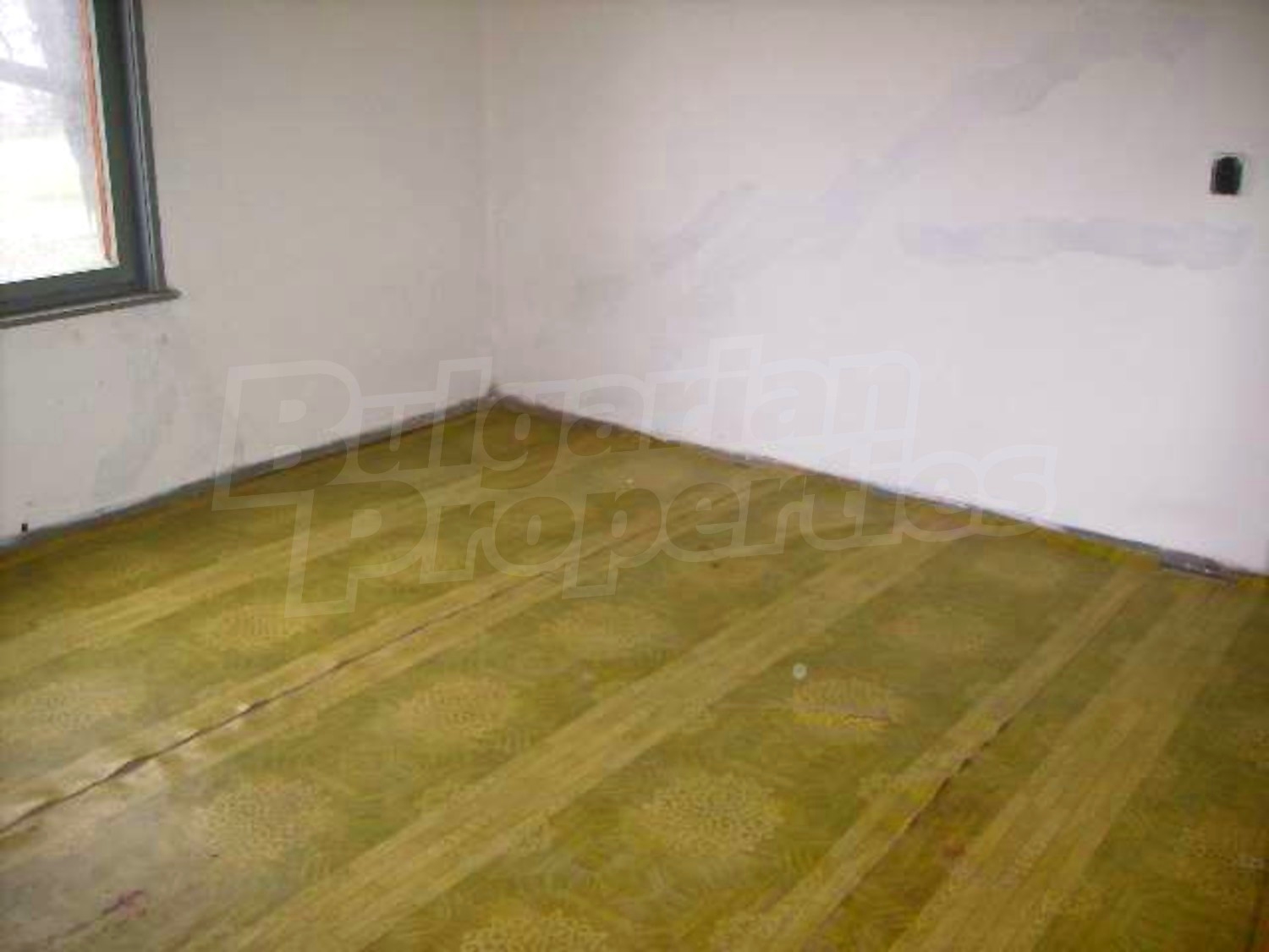 Gallery Picture 5