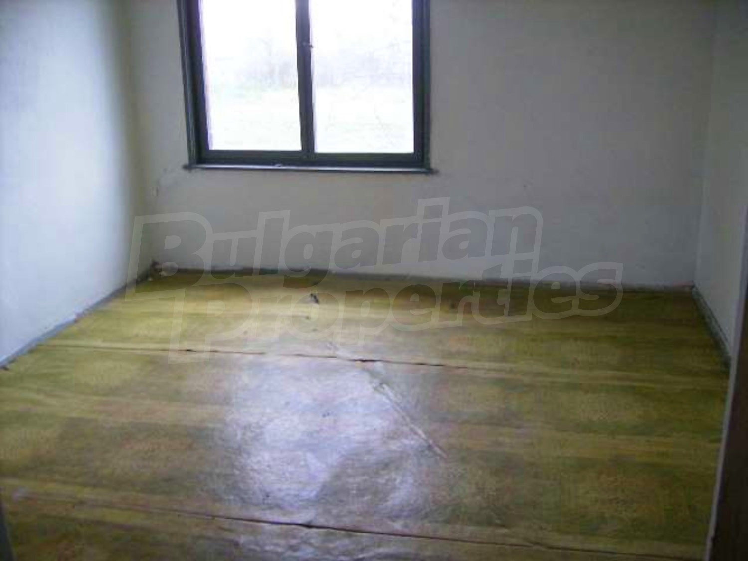 Gallery Picture 6