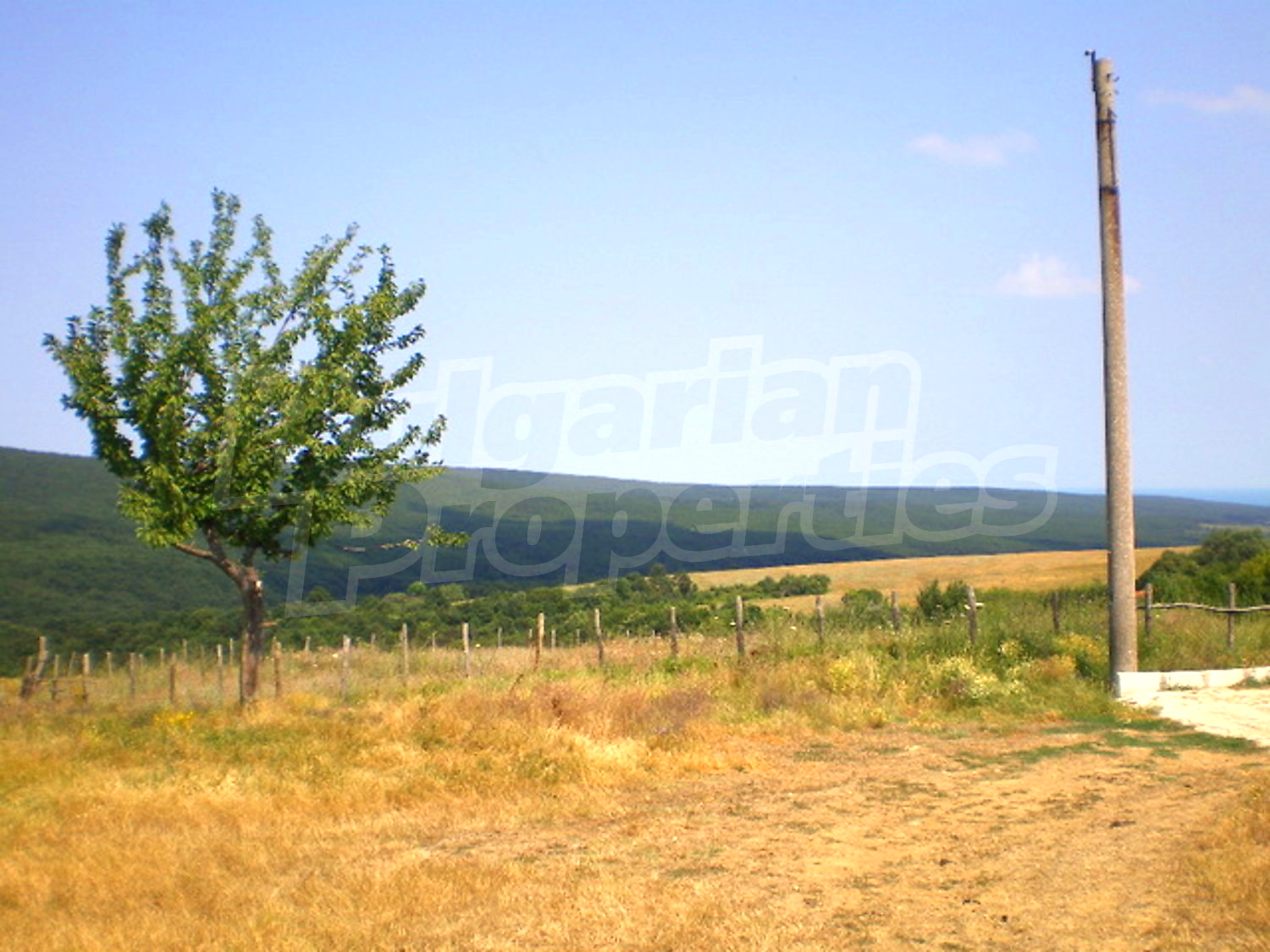 Gallery Picture 20