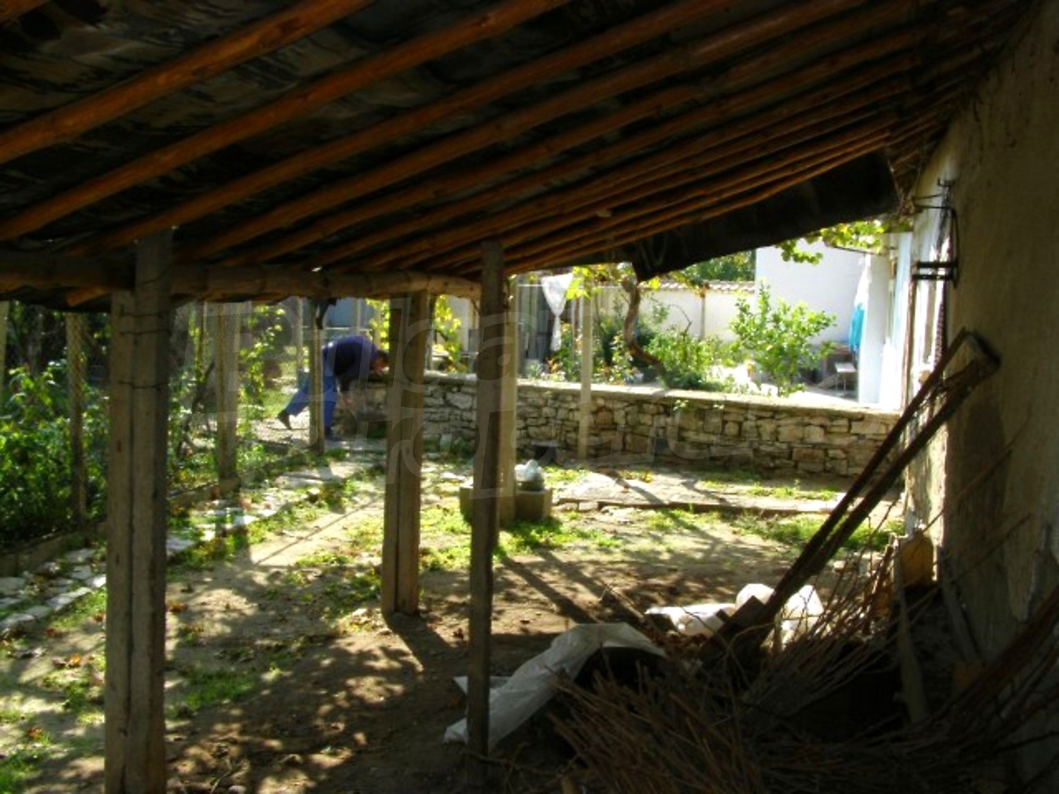 Gallery Picture 19