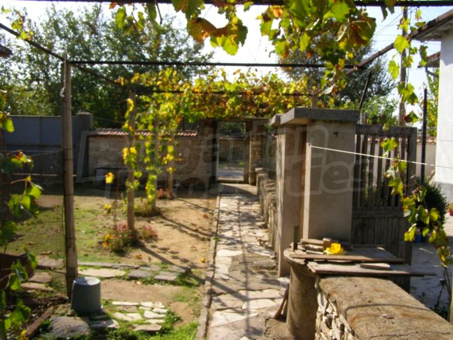 Gallery Picture 22